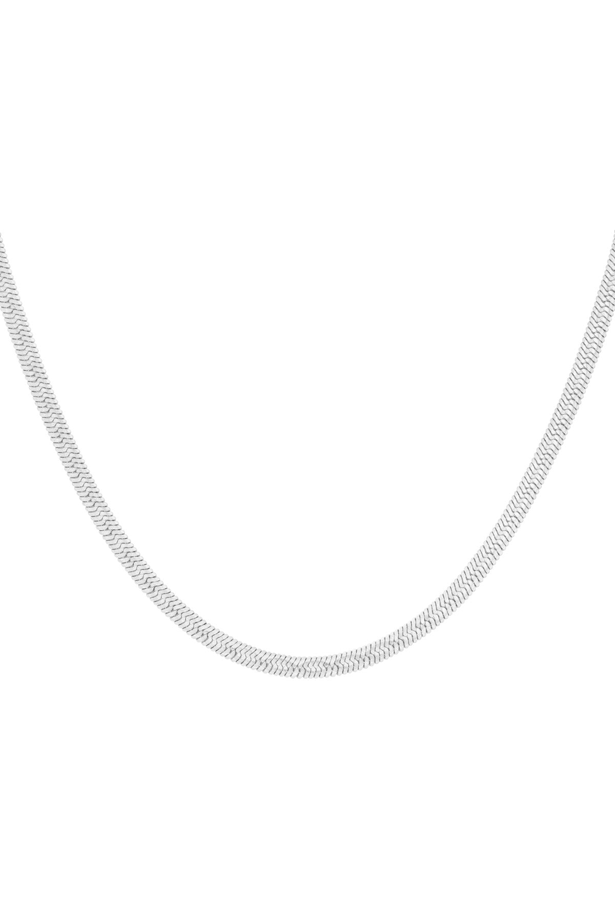 Ivy - fijne ketting Zilver
