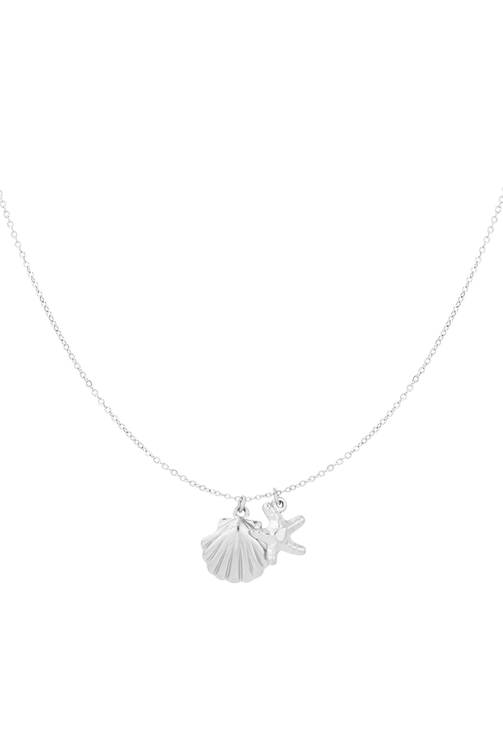 Coast - hanger ketting Zilver