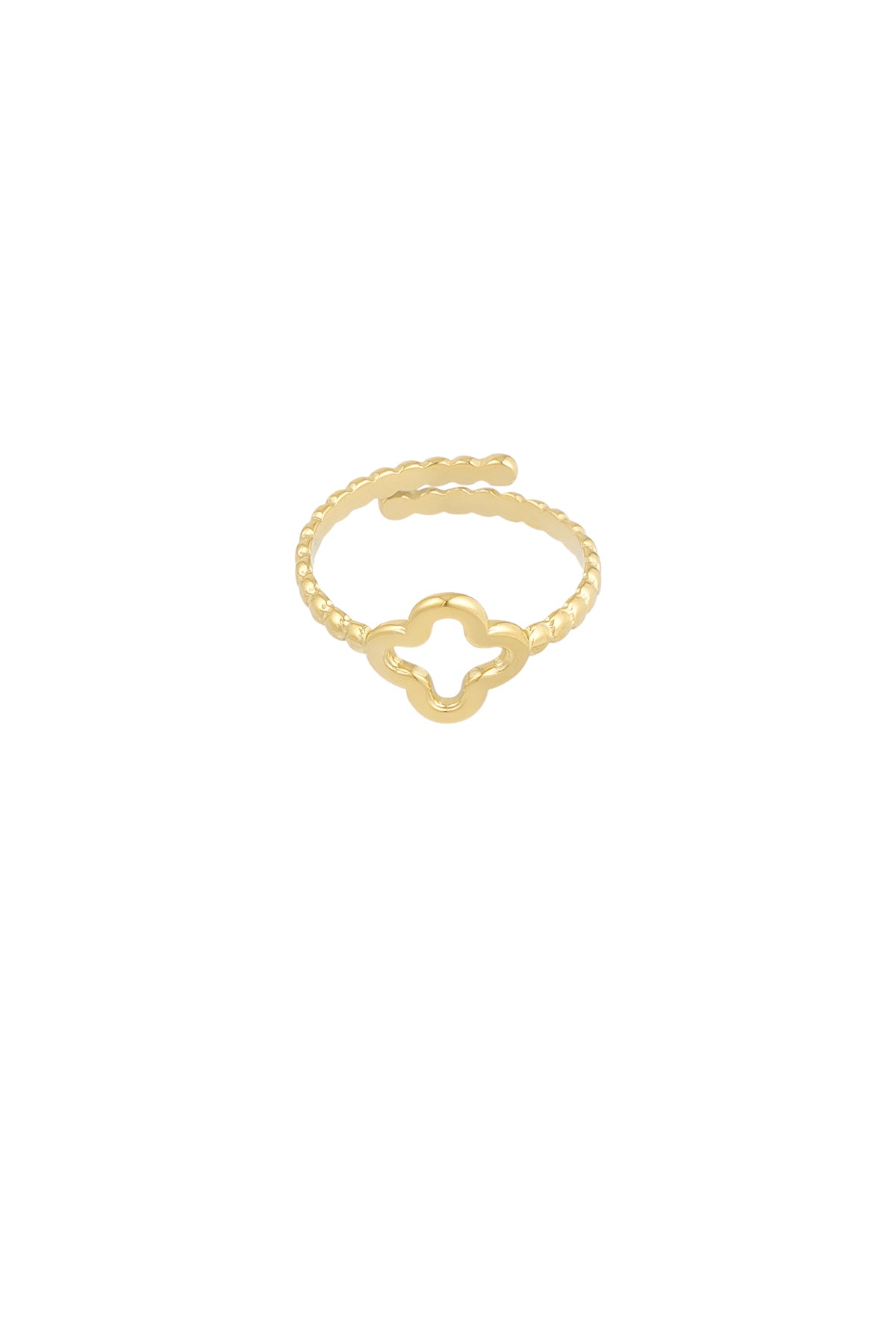 Klaver - bandring Goud detail