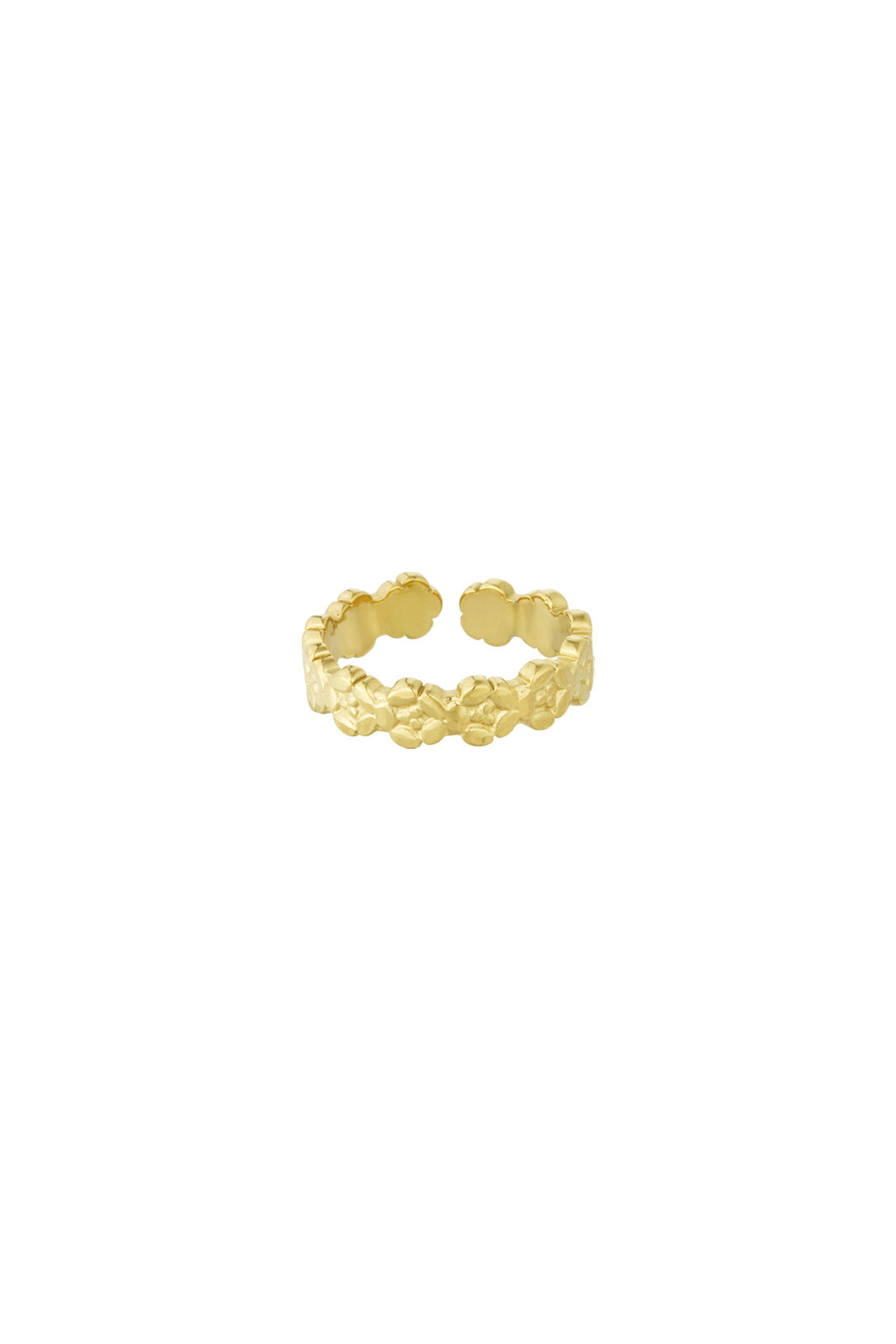 Bloom - bandring Goud