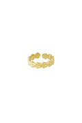 Bloom - bandring Goud