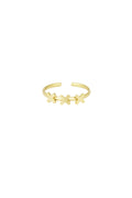 Amstrdm - bandring Goud