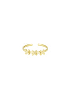 Amstrdm - bandring Goud