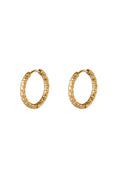 Iris - hoops Goud