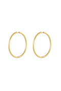 Sage - hoops Goud