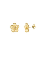 Alara - studs Goud
