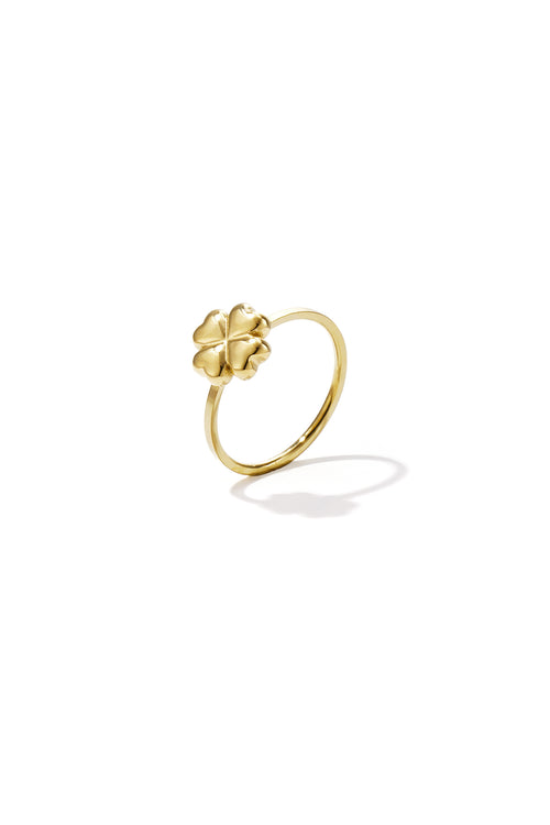 Quatre - bandring Goud